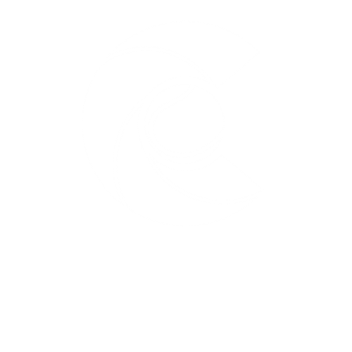 Champions-Tennis Academy Online Institute